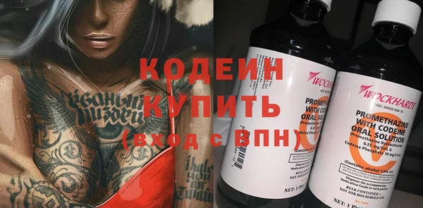 шишки Ладушкин