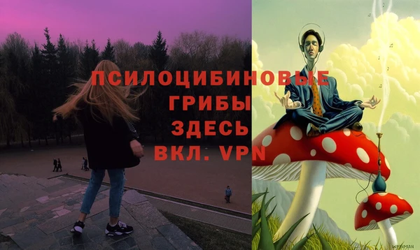 соль курить ск Горно-Алтайск