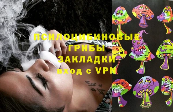 apvp Лагань