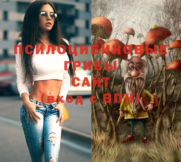 альфа пвп Горняк