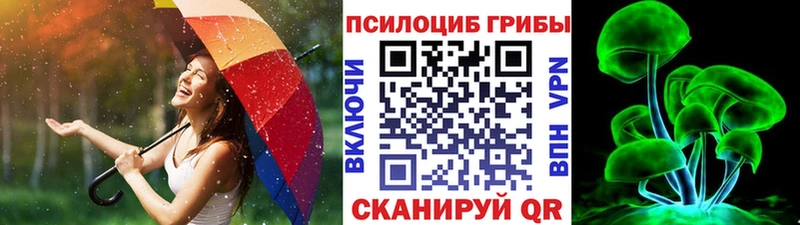 Псилоцибиновые грибы мухоморы Жуковка